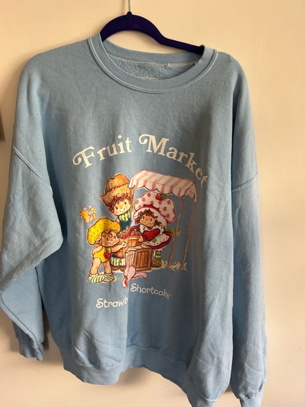 PacSun Strawberry Shortcake Light Blue Fruit Market Graphic Crewneck, NWT, OS